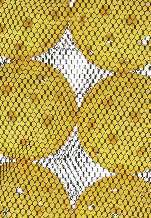 FZ Forza Outdoor Ball pickeball, 6 styk Yellow