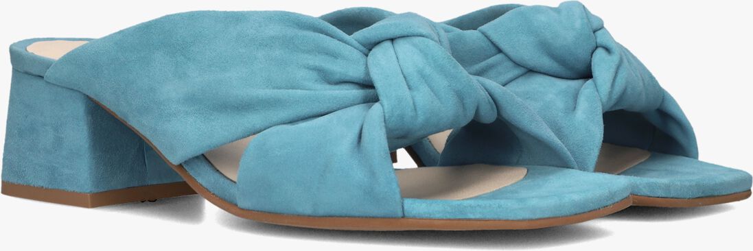 blauwe lina locchi muiltjes l1407