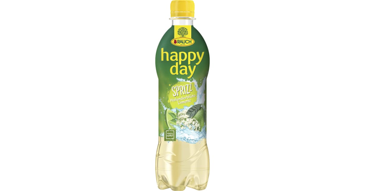 Rauch Happy Day Holunder-Limette gespritzt 0,5 Liter (Einweg)