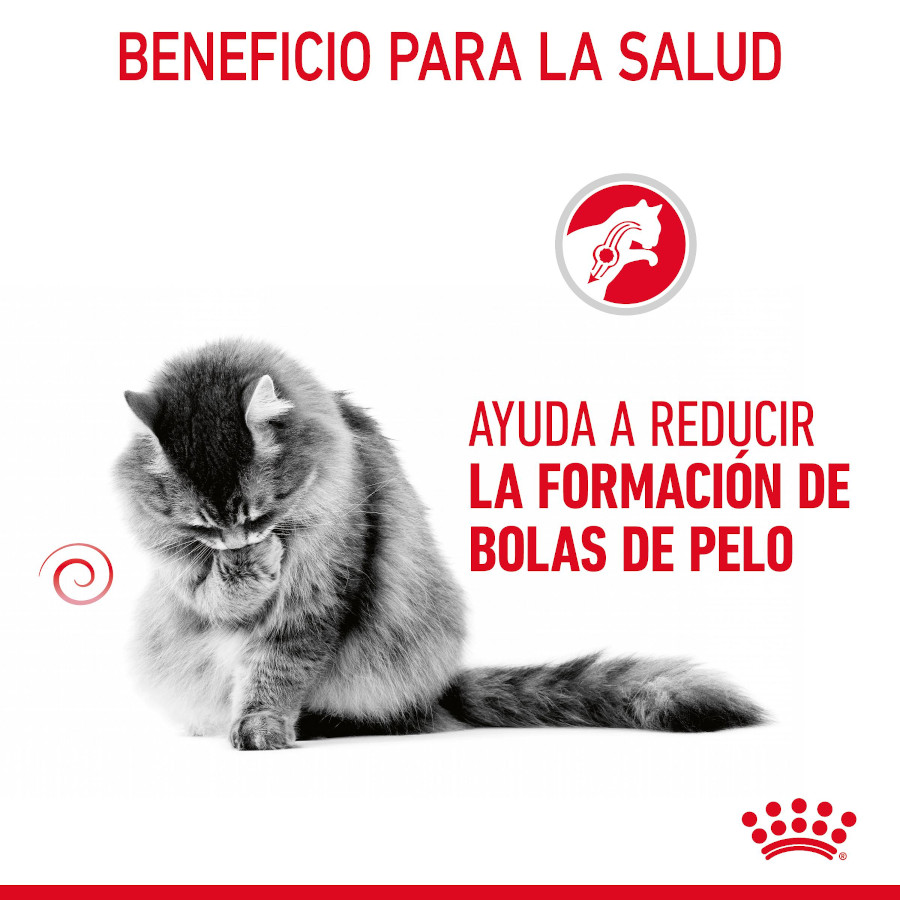Sachê de gel Royal Canin Hairball Care para gatos