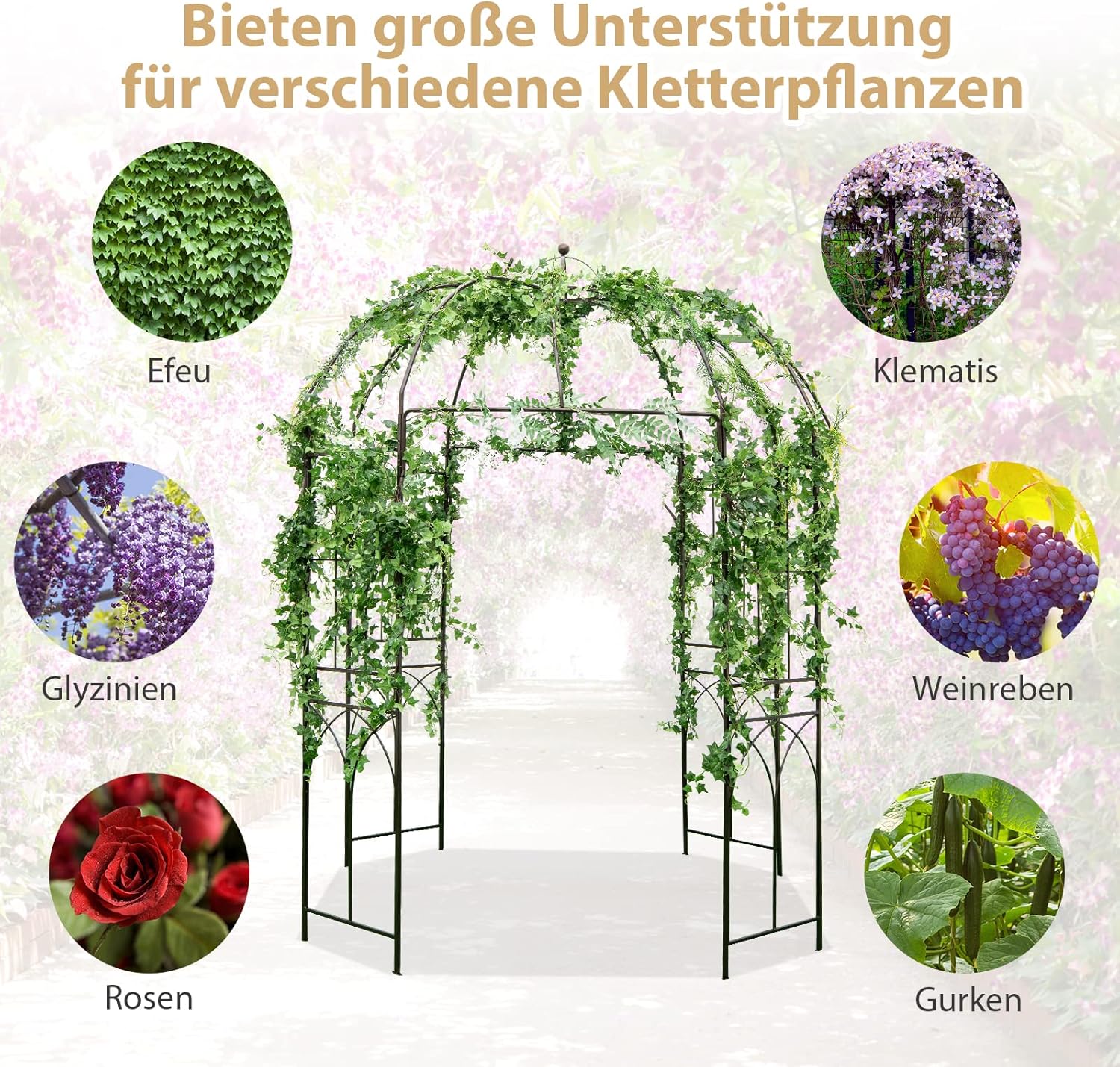 COSTWAY Rosenbogen, Metall Torbogen Rankhilfe Rankgitter Rankbogen Gartenbogen, Rosenpavillon für Kletterpflanzen, Hochzeit, 211 x 211 x 256 cm