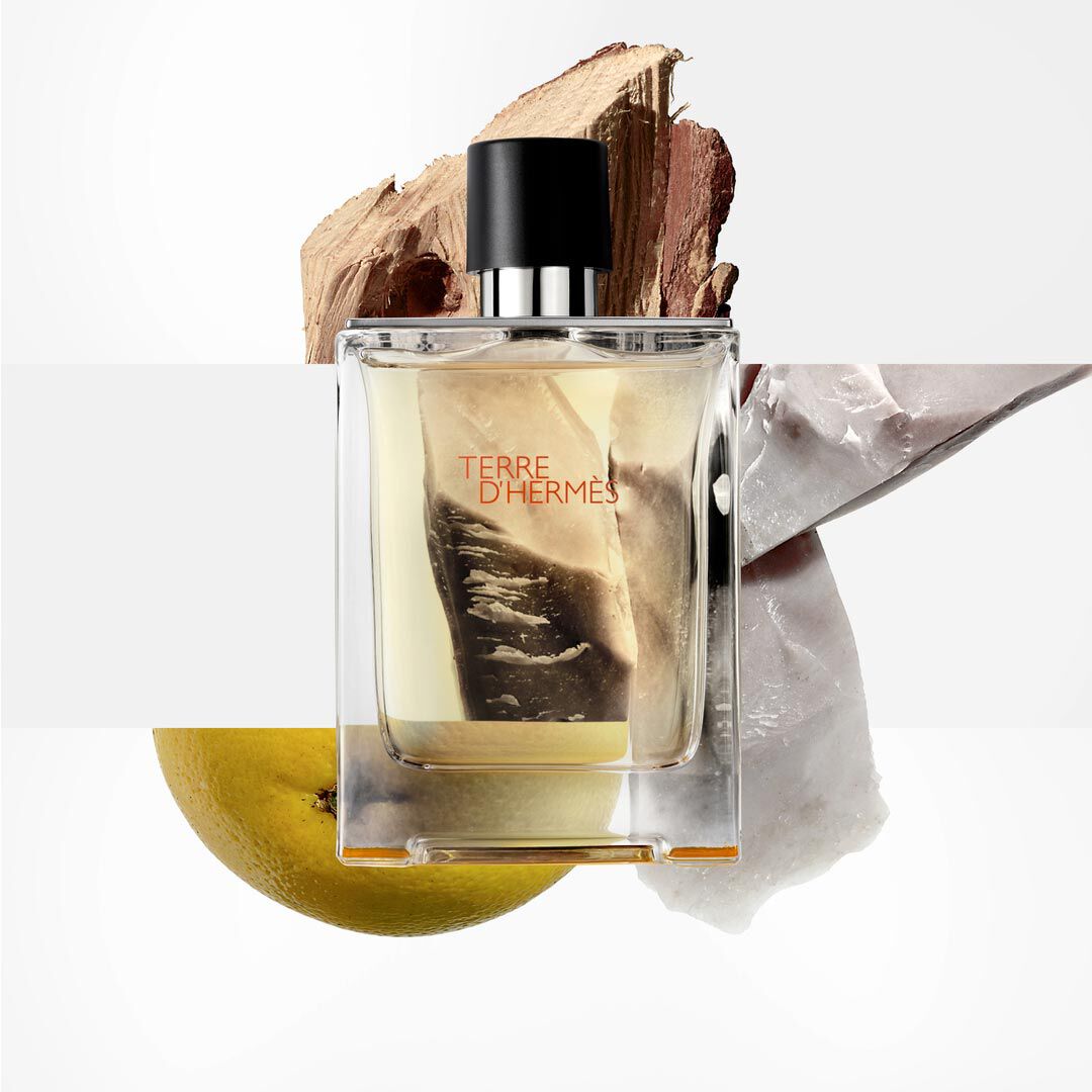Hermès TERRE D'HERMES Eau de Toilette - 100ml