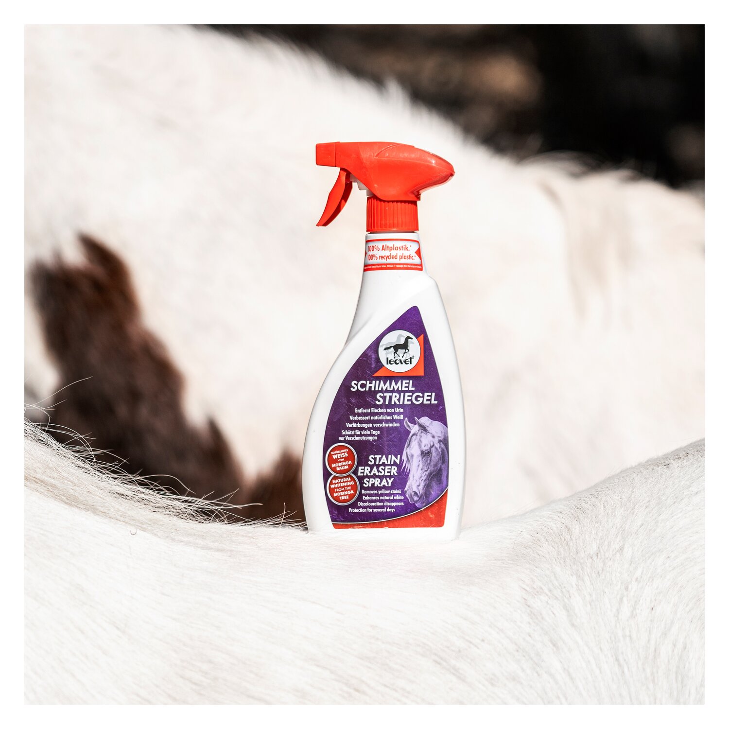 leovet Schimmel Striegel - 550 ml