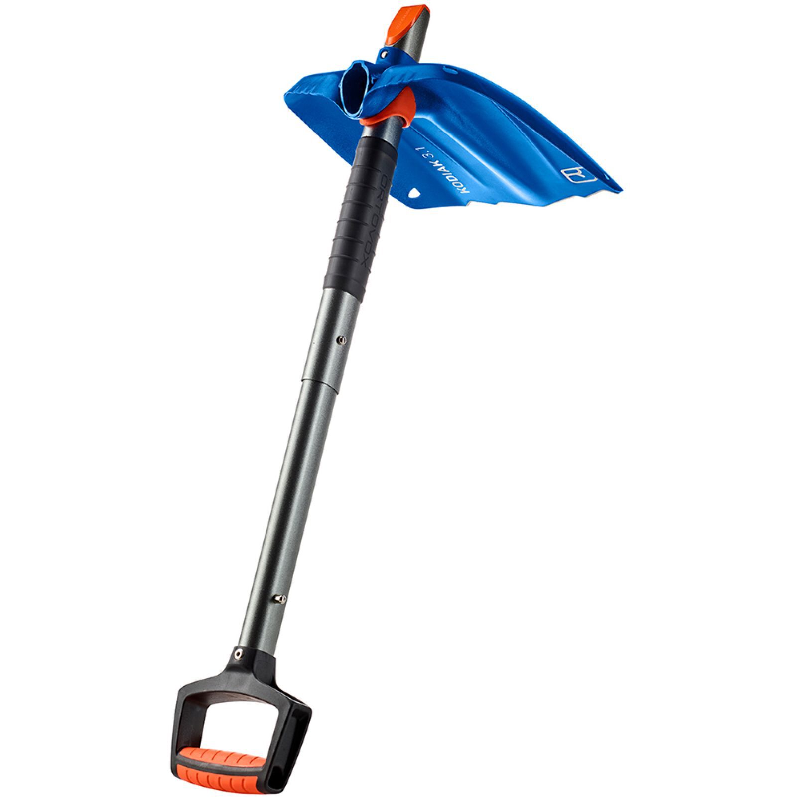 OrtovoxKodiak