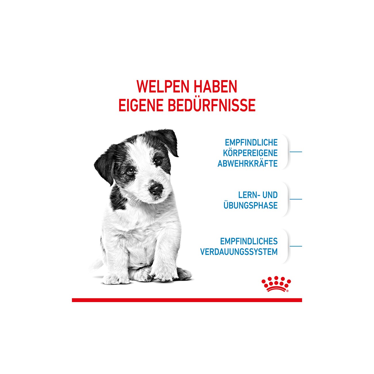 ROYAL CANIN Mini Puppy 2 kg