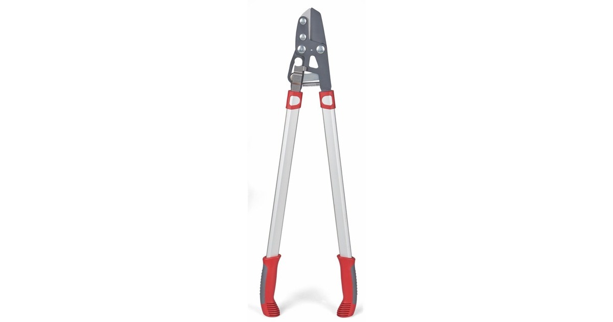 WOLF-GartenPower Cut RS 800 V takkenschaar  (Rood/zilver)