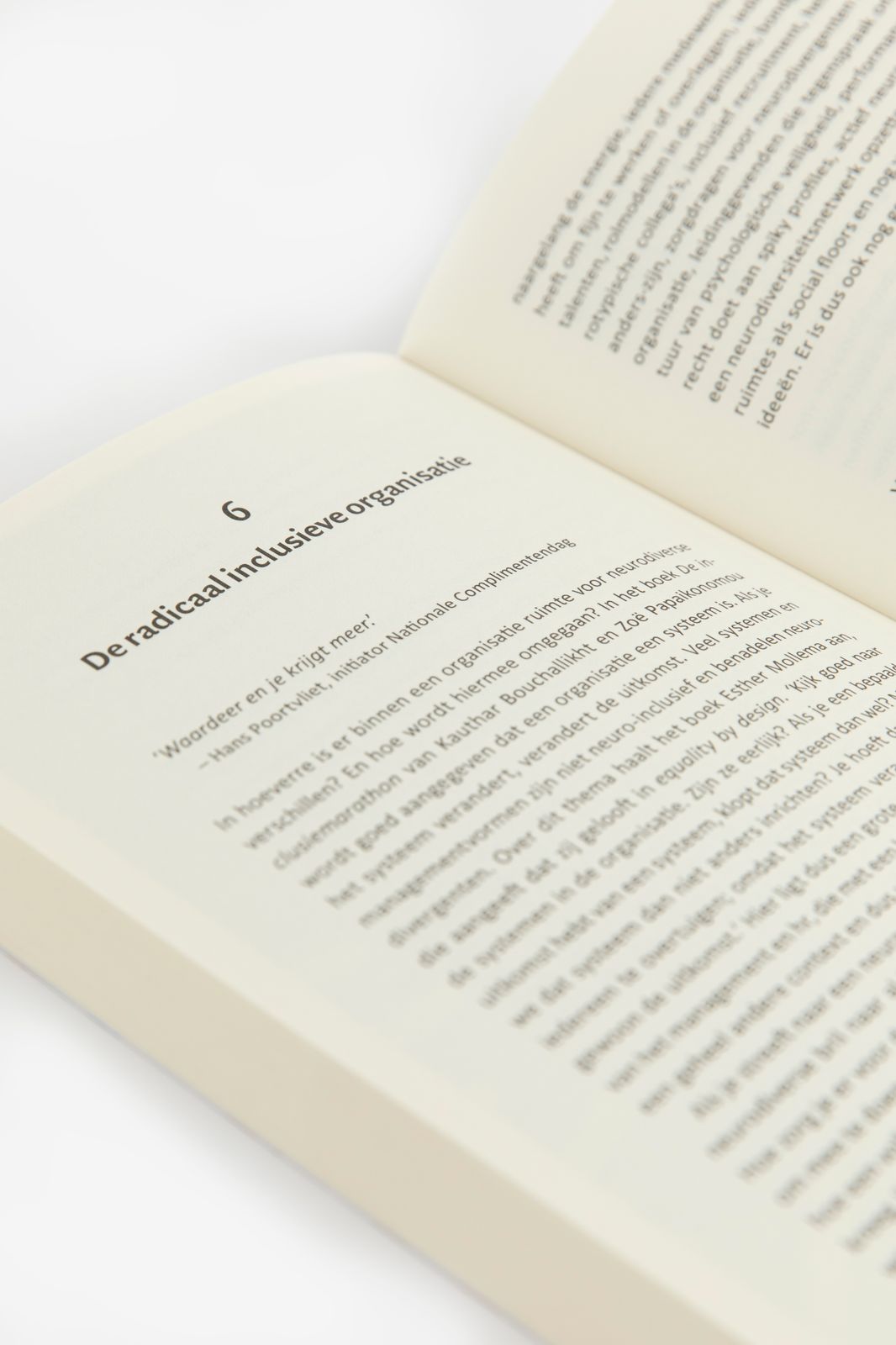 Boek Als Alle Breinen Werken