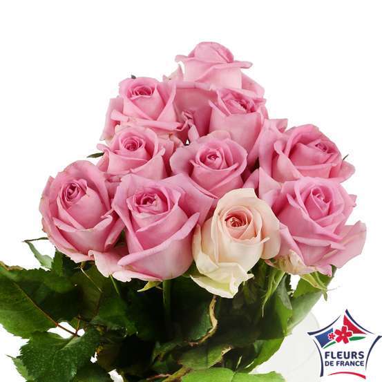 Botte 10 Roses ''Fleurs de France'' H.50cm coloris variables