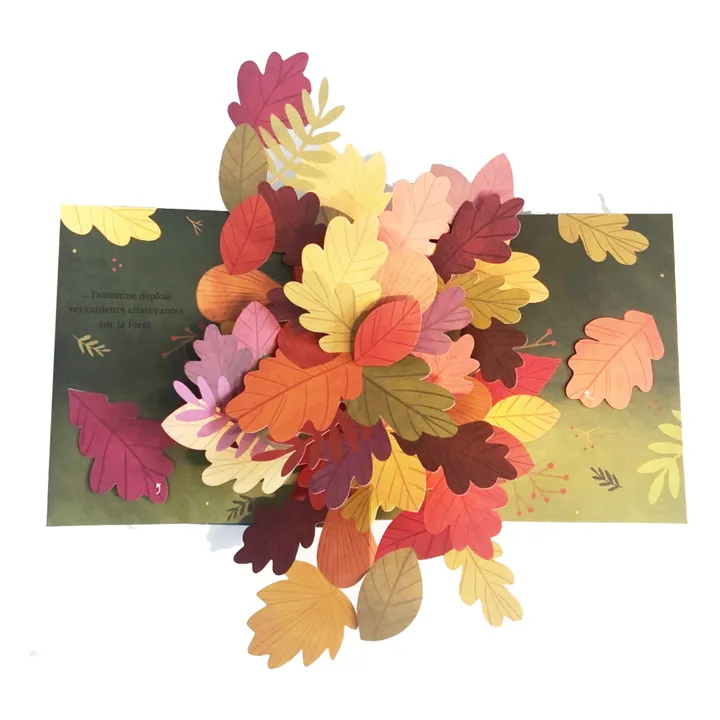 Kimane Livre Couleurs de l'automne - Janet Lawler