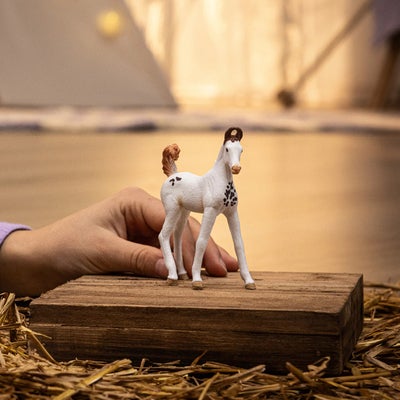 Schleich 14896 Horse Club Marwari Foal