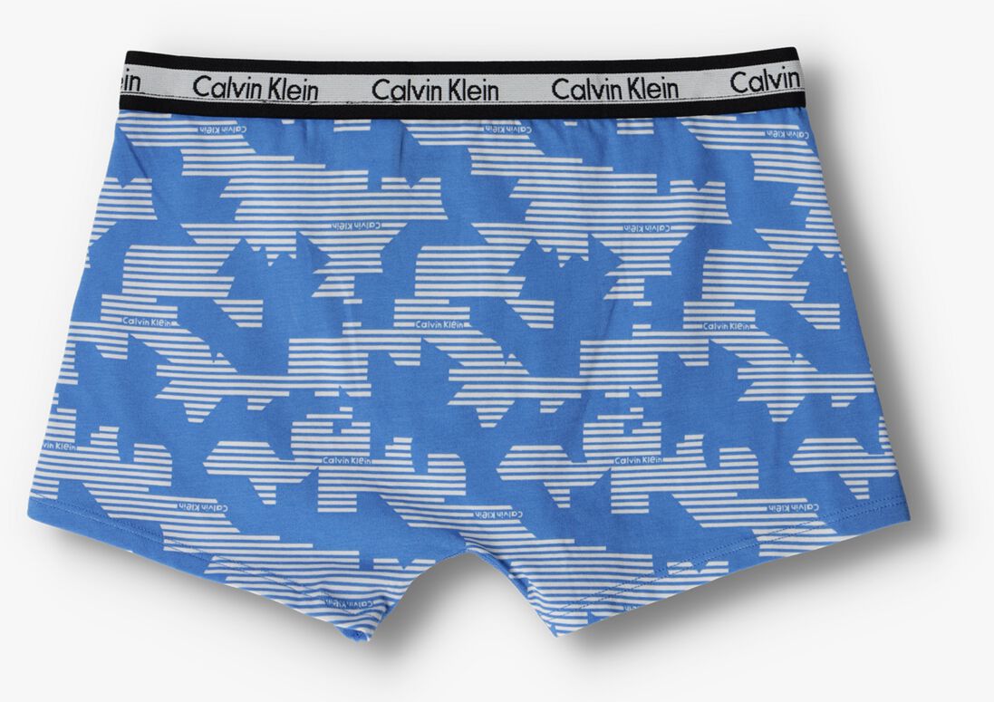 CALVIN KLEIN UNDERWEAR multi calvin klein underwear boxershort 2pk trunk