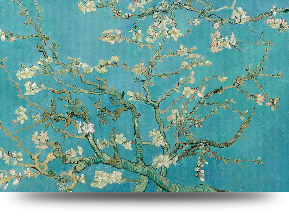Canvas schilderij Amandelbloesem van Van Gogh 150 x 100 cm