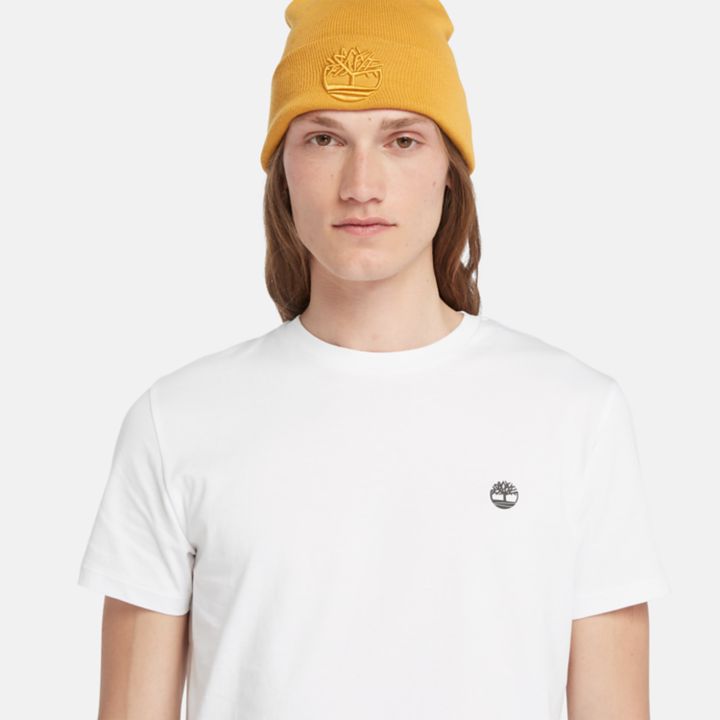 Conjunto de 3 camisetas básicas de malha redonda para homens na cor branca.