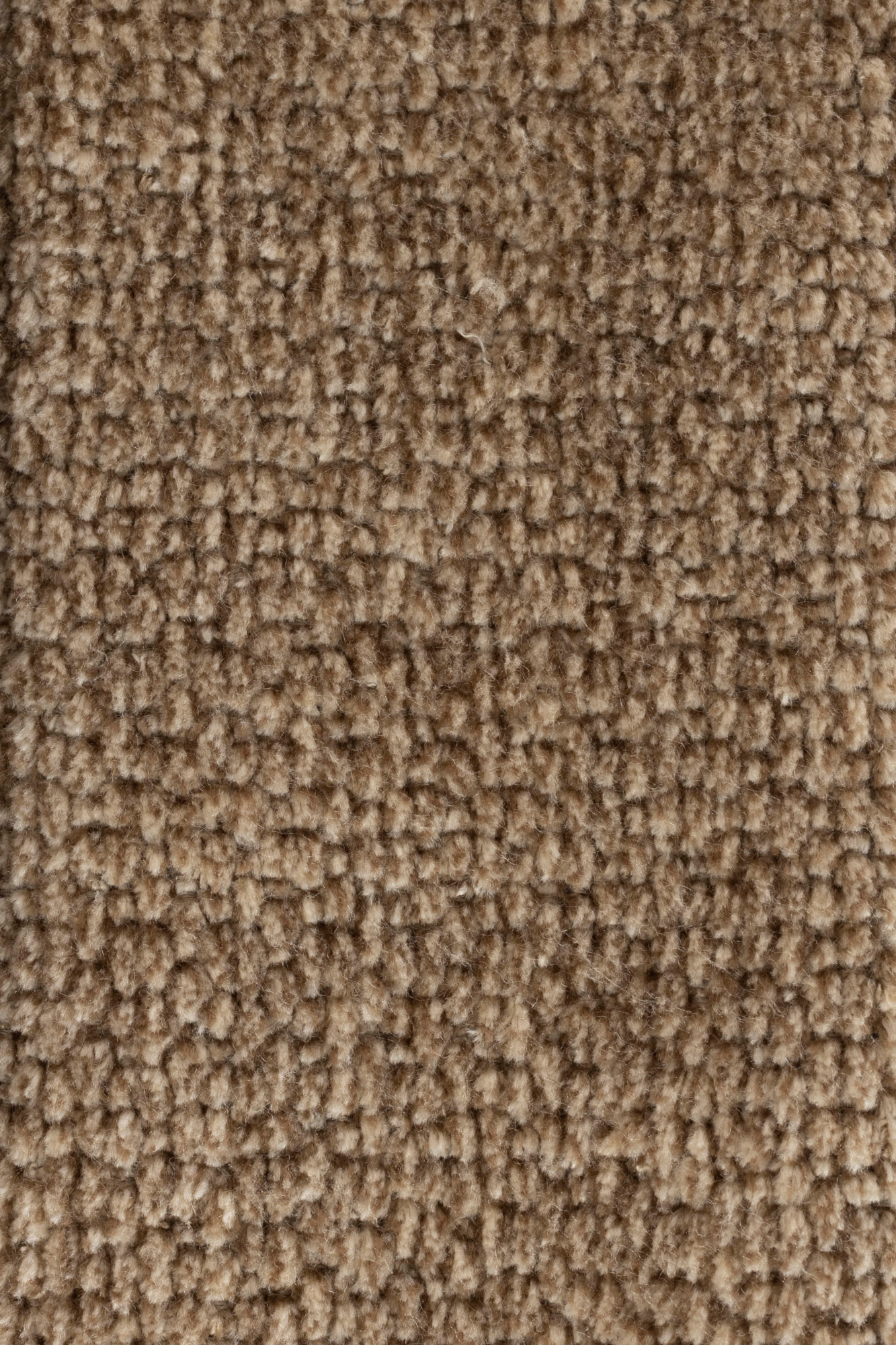 Fauteuil Eden MOSS