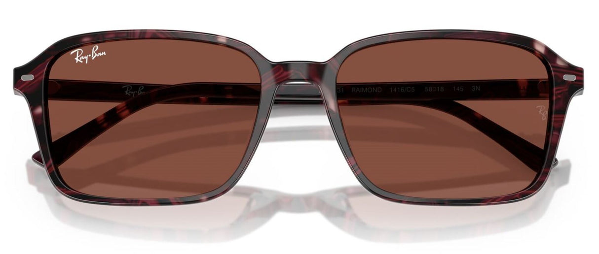 Ray-Ban<br>Raimond