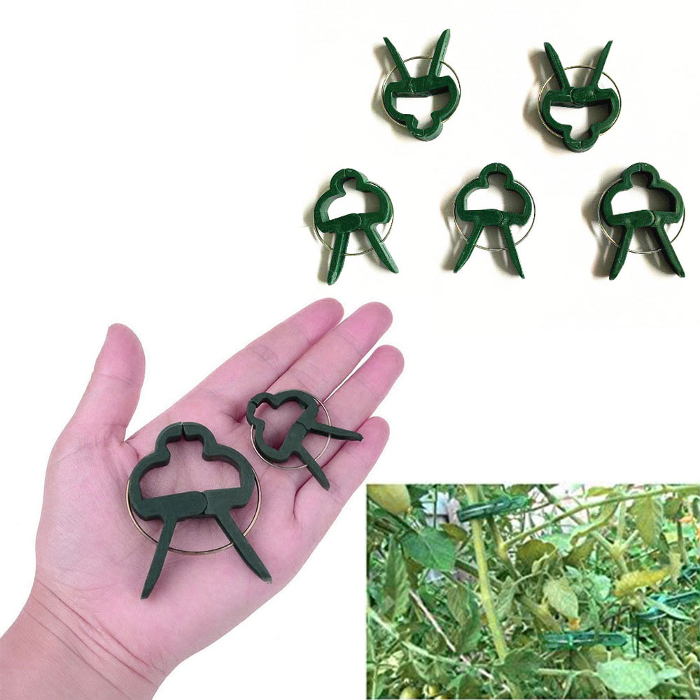 (20er Set) Garten Pflanzenklammern Pflanzenclips Rankhilfe - Grün / Silber