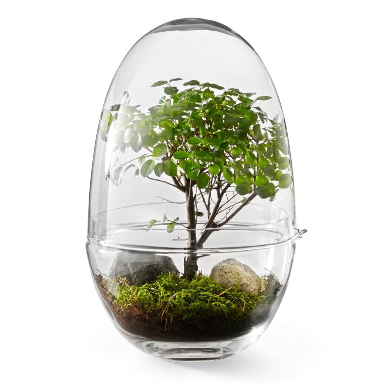 Design House Stockholm Grow vaas large
