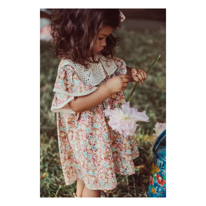 Louise Misha Robe Warisa Col Crochet | Rose