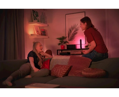 Philips Hue Play 2-pack Black
