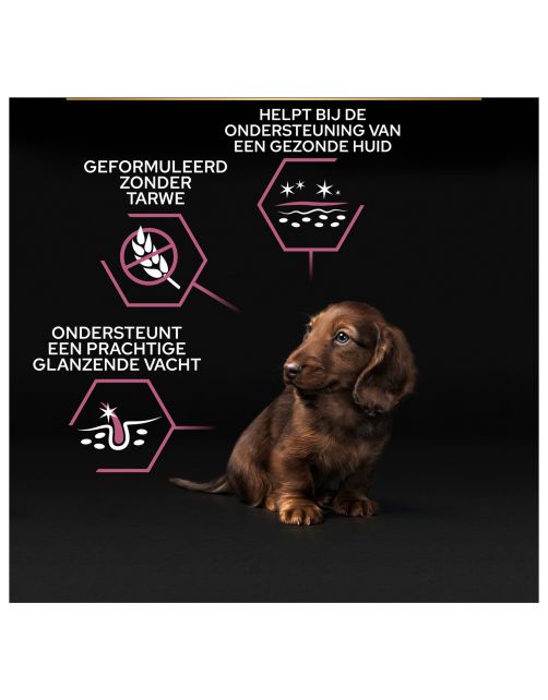 Pro Plan Dog Puppy Small & Mini Breed  Sensitive Skin - Hondenvoer - Zalm 3 kg