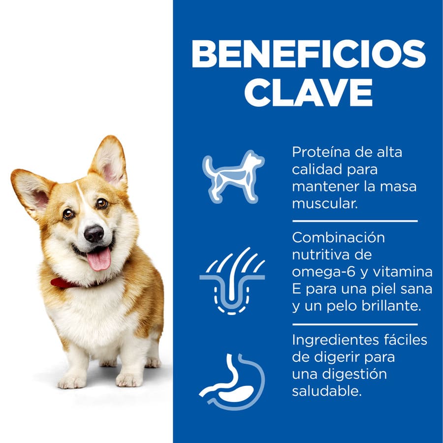 Ração Hill's Science Plan Adult para Cães de Pequeno e Pequeno Porte com Sabor de Frango