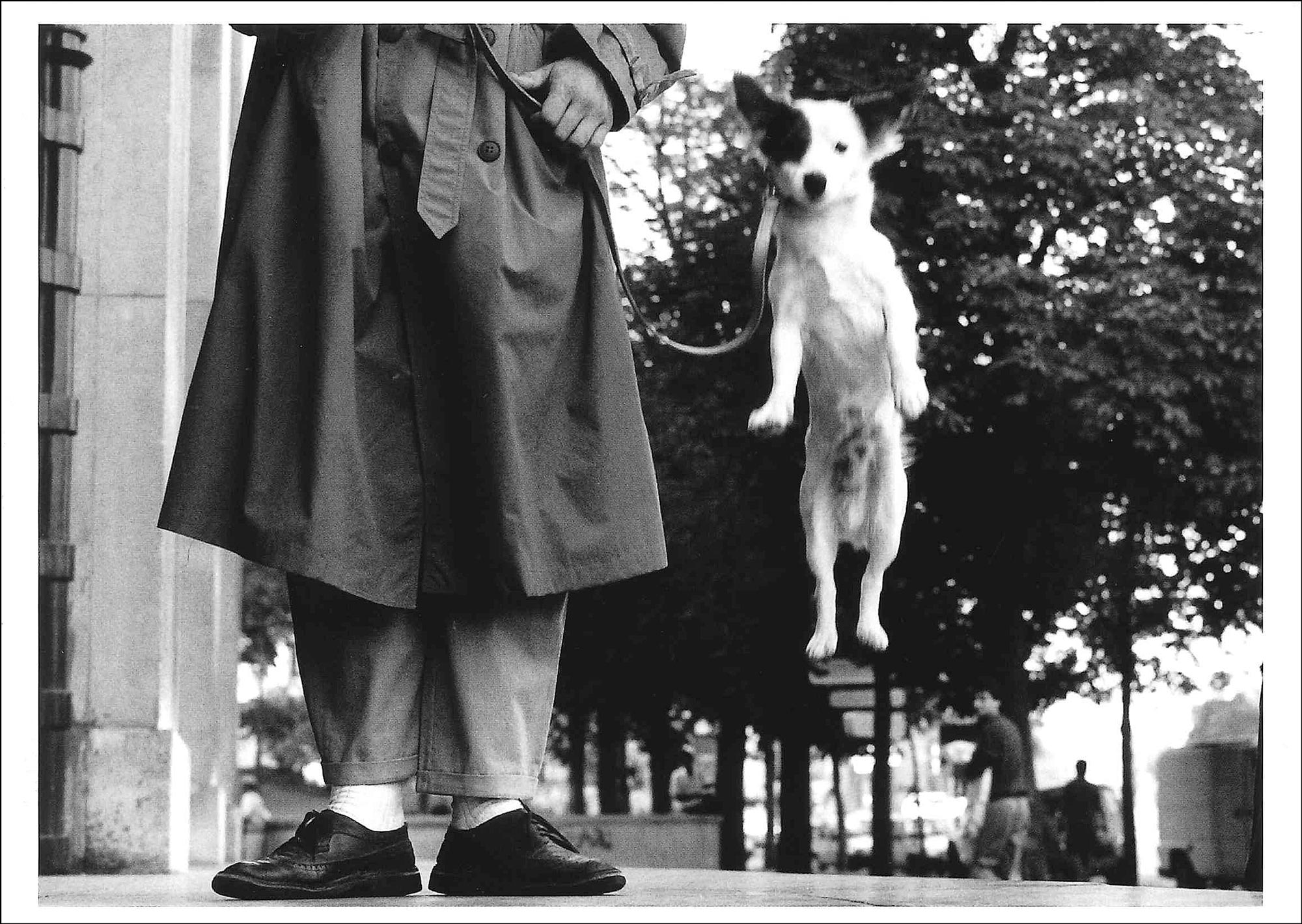 Postkarte 'Hund' günstig bestellen