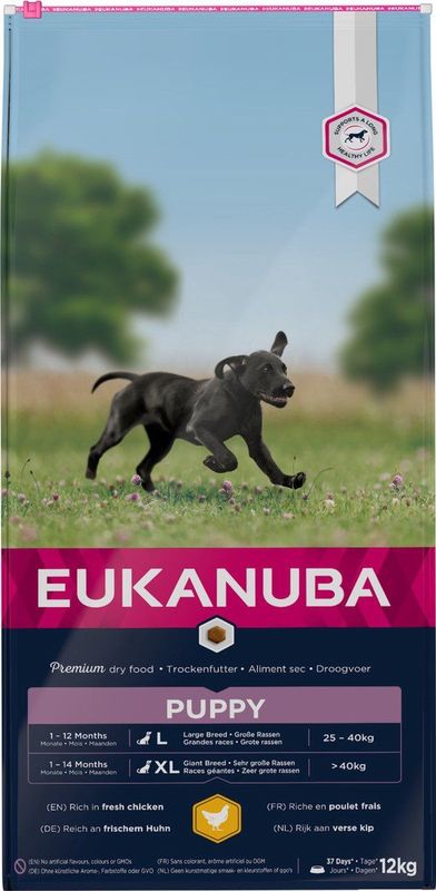 Eukanuba Dog Puppy Large Breed Chicken - 12 KG