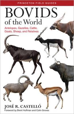 Bovids of the World: Antelopes, Gazelles, Cattle, Goats, Sheep, and Relatives - Princeton Field Guides (Paperback)