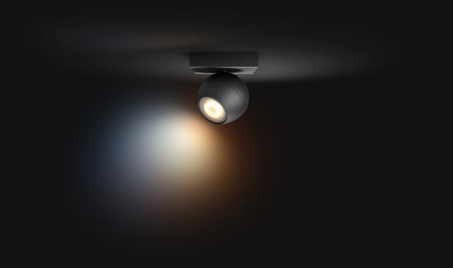 Philips Hue Buckram spotlys (sort)