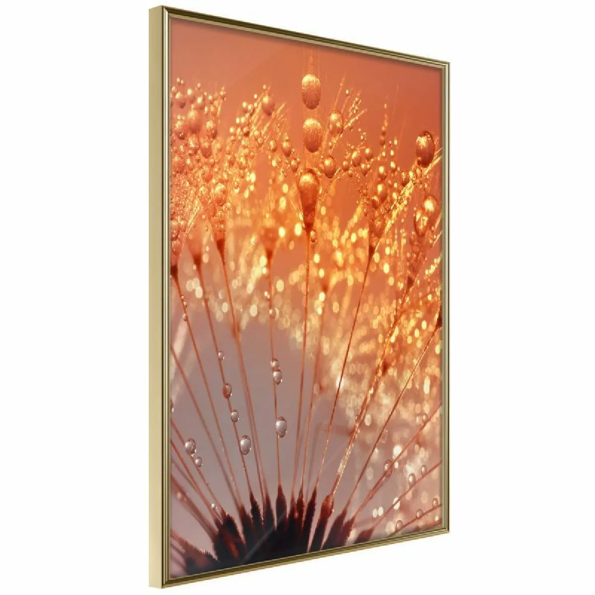 Paris Prix Affiche encadrée Breath of Summer 30x45 cm - Or