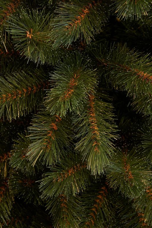Triumph Tree - Bristlecone Fir - Kunstkerstboom - 185 cm