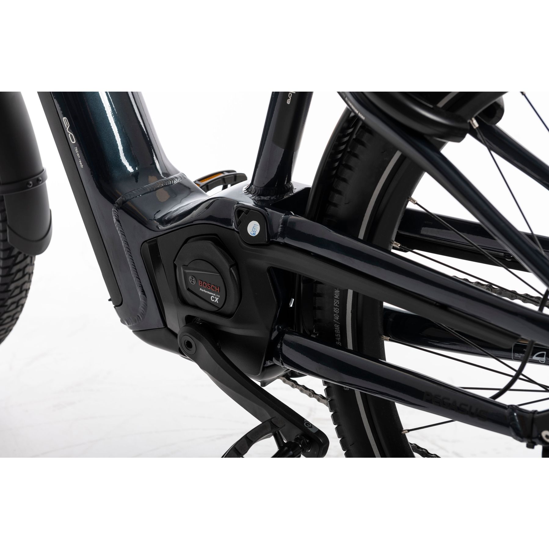 Pegasus Savino EVO 12 Lite