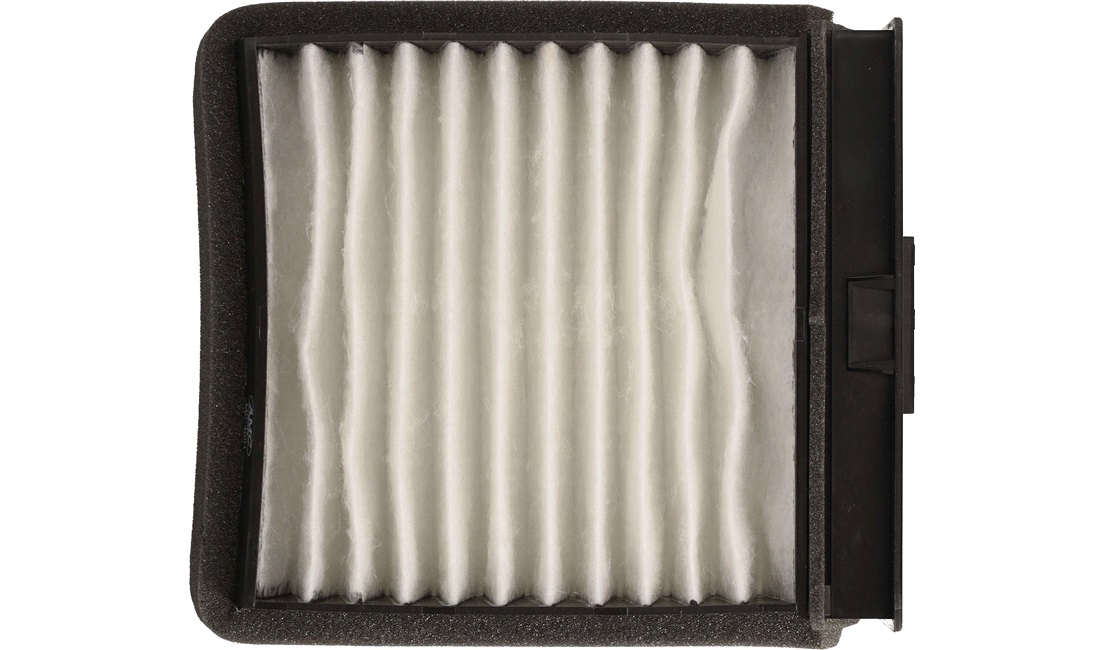 Pollenfilter, Pollenfilter
