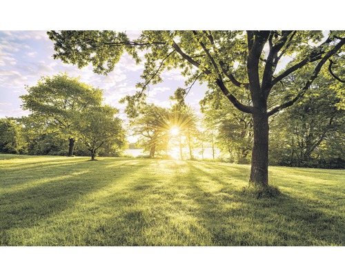 Vliesbehang SH054-VD4 Stefan Hefele Ed 1 Golden Moment 4-delige set 400 x 250 cm