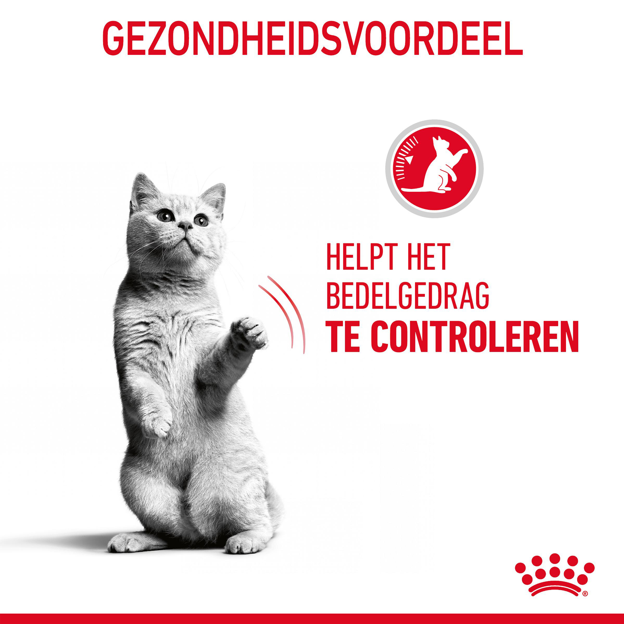 Royal Canin Appetite Control Care- Kattenvoer