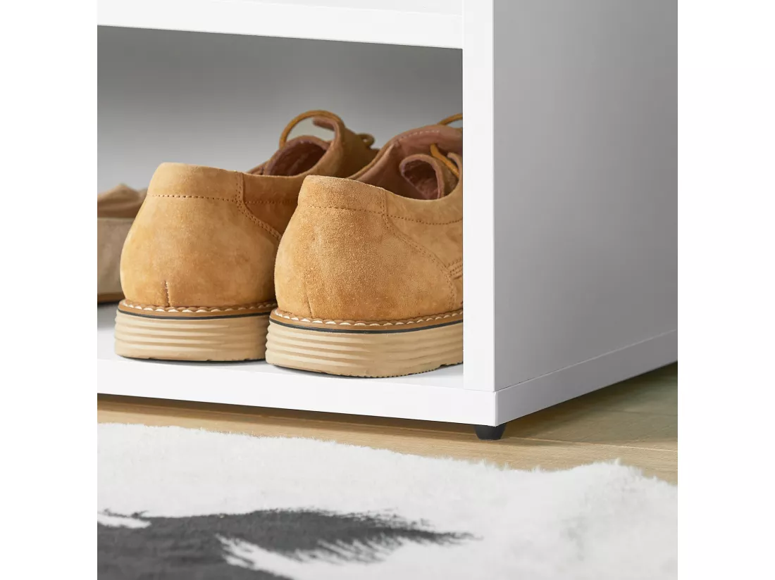 Banc De Rangement À Chaussures 2 Étages Avec Coussin Commode À Chaussures Confortable, Fsr25-w
