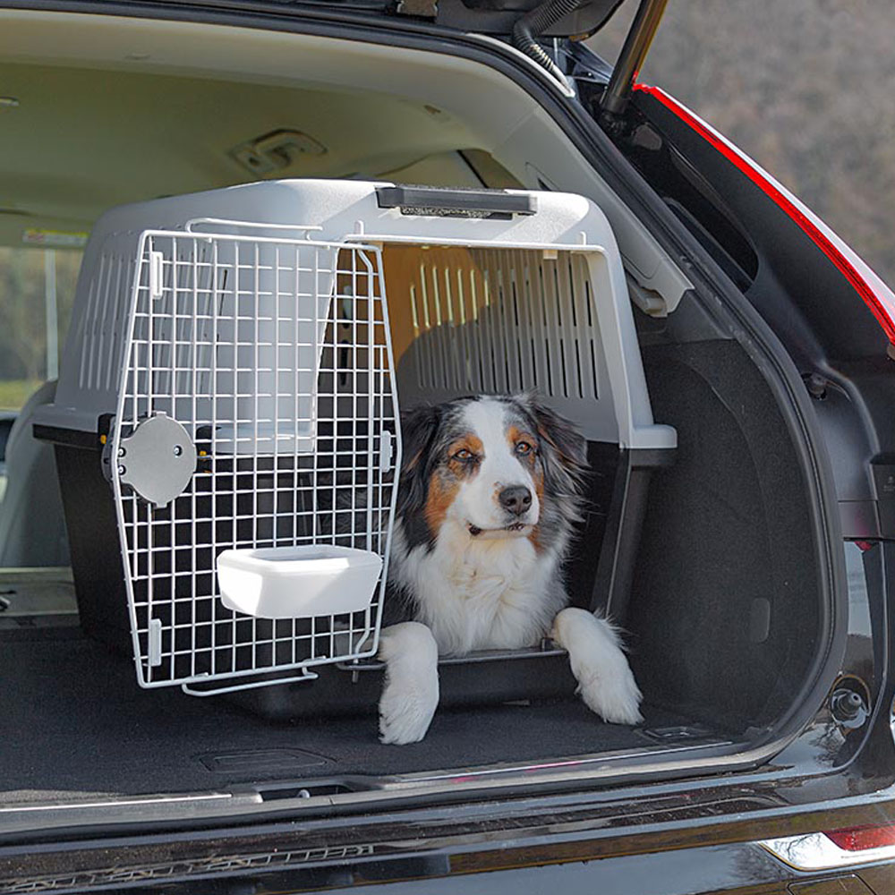 Panier de transport pour chiens de taille moyenne à grande atlas 50, avec écuelle et accessoires inclus, verrouillage de sécurité,