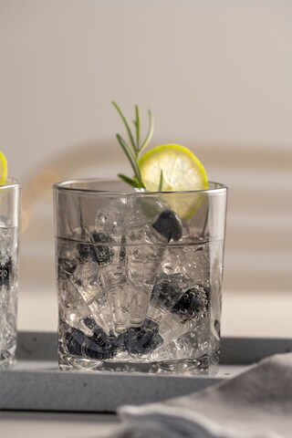 LEONARDO Whiskyglas CAPRI 4er-Set grau