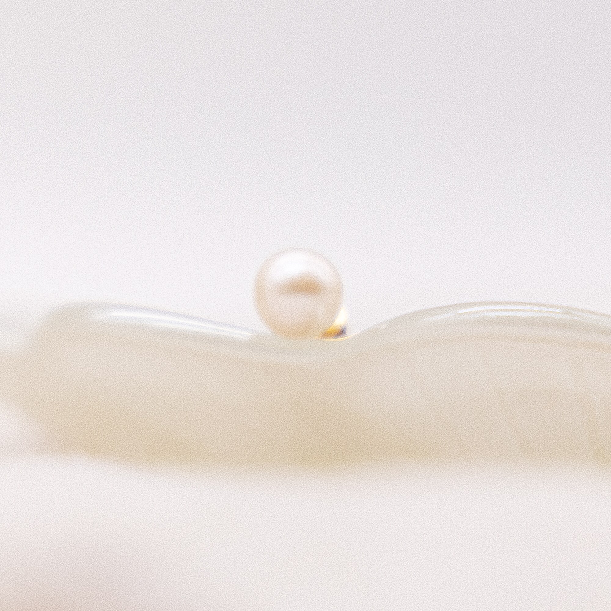 Fascination by Ellen K. Ohrringe Gold 585 Akoya-Perle 6,5-7mm