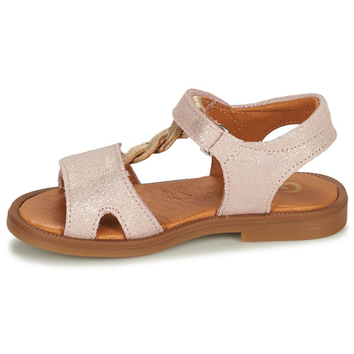 GBB - FARENA - Rose