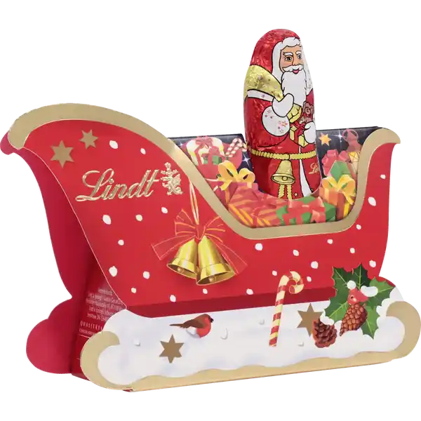 Weihnachtsmann im Mini-Schlitten