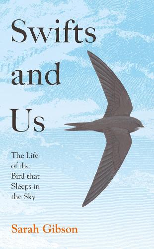Swifts and Us: The Life of the Bird That Sleeps in the Sky (Hardback)