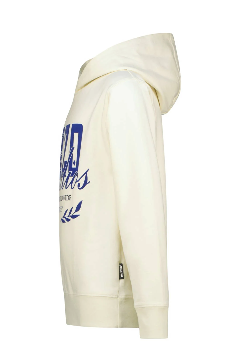 Raizzed hoodie beige