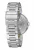 Nixon The Chameleon Silver / Gold / Gray A9912477