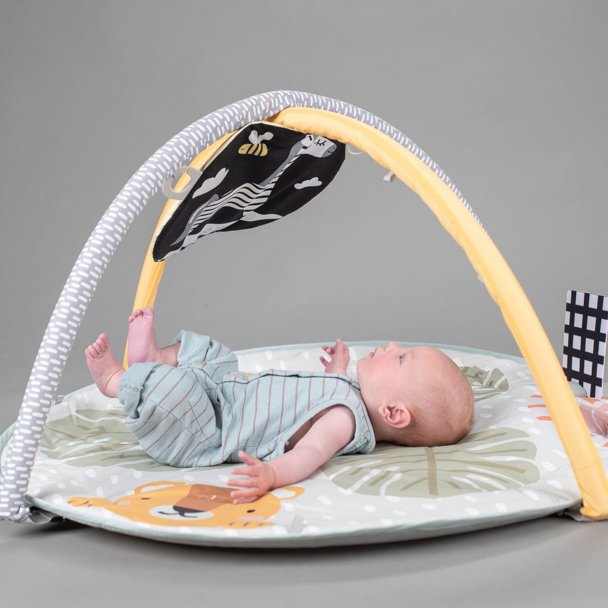 Taf ToysTaf Toys   Spieldecke Savannah