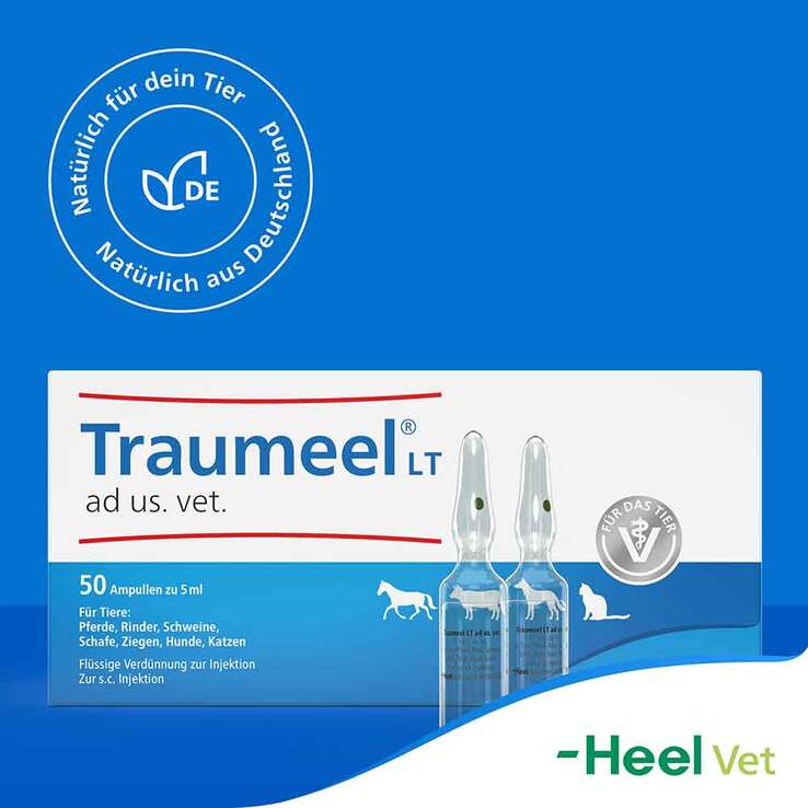 Traumeel LT Ampullen vet. (für Tiere), 50X5 ml