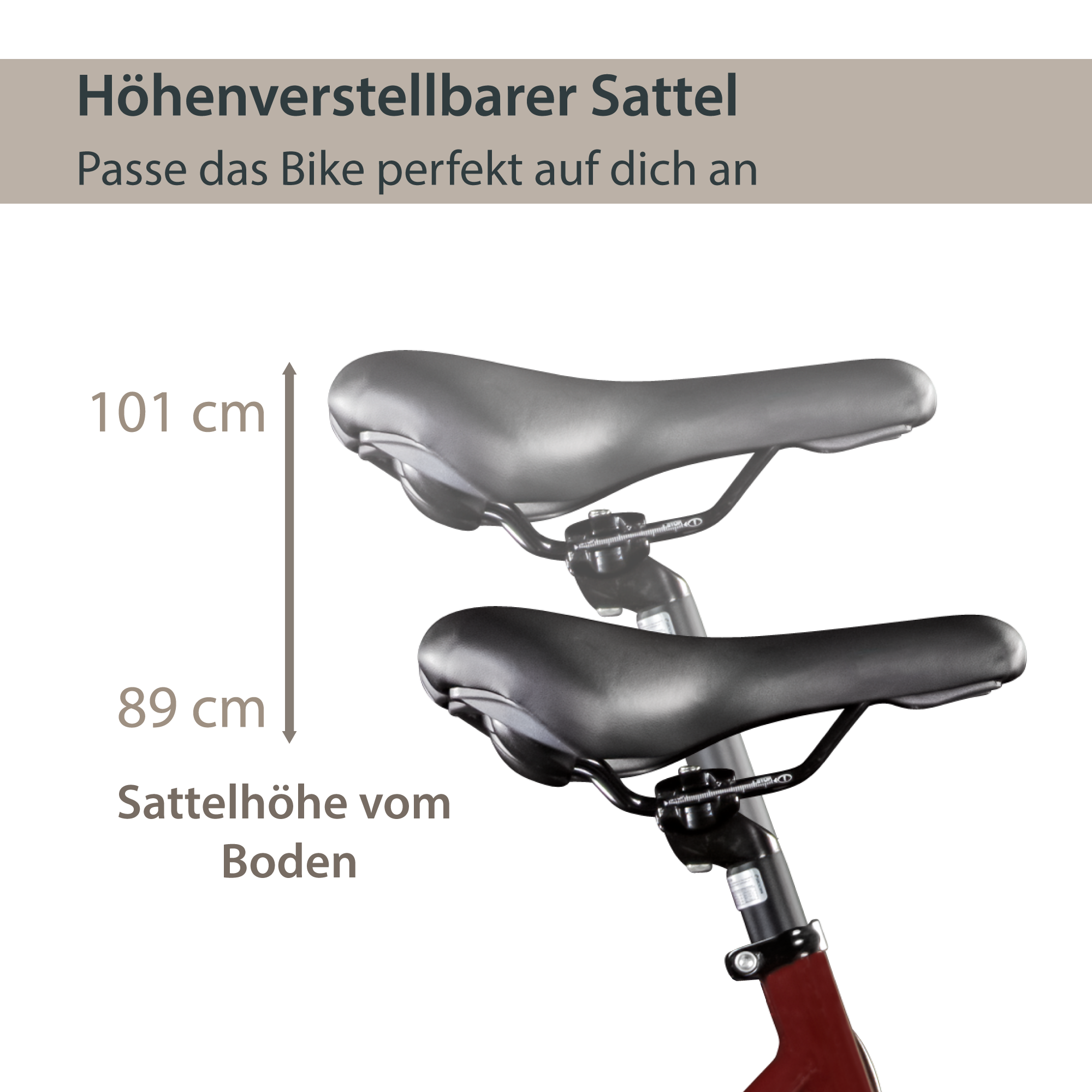 Agon Avesa E Bike Trekkingrad Damen Herren ab 155 cm mit Nabenmotor Pedelec Trekking Fahrrad mit 21 Gang und Beleuchtung StVZO Tiefeinsteiger