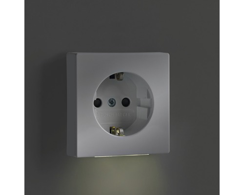 Busch-Jaeger 20 EUCBLI-84 stopcontact met nachtoriëntatieverlichting + verhoogde contactbeveiliging Future Linear studiowit