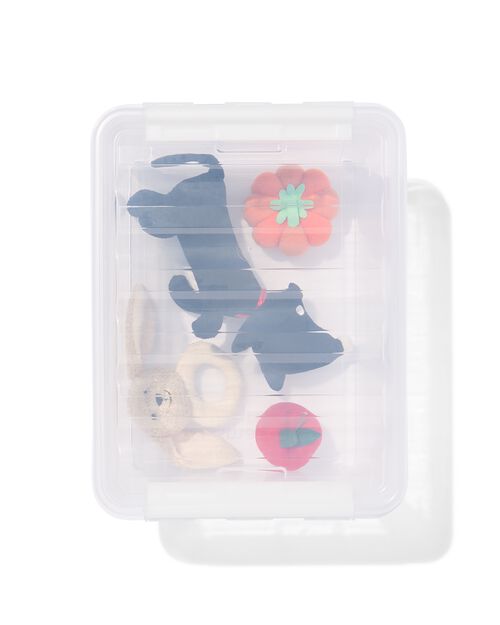boîte de rangement 32L London transparent 50x39x26