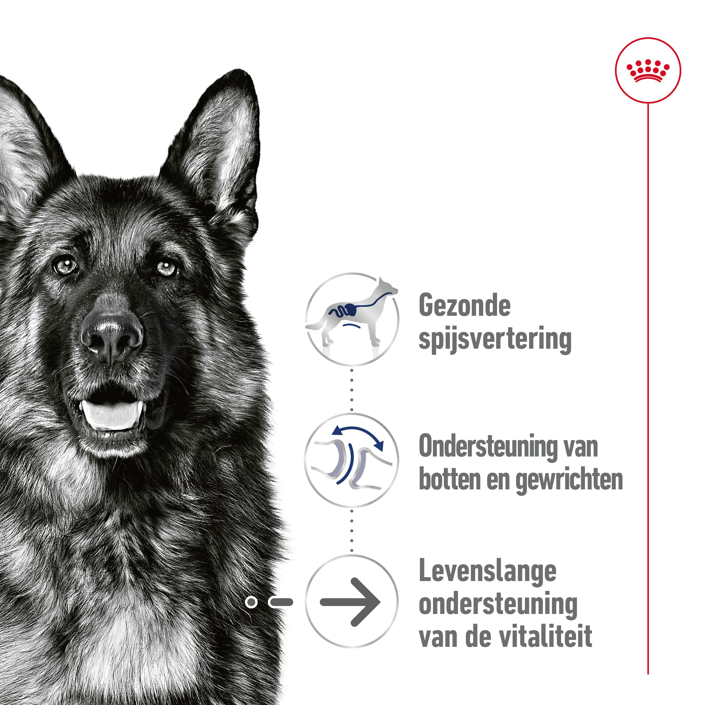 Royal Canin Maxi Ageing 5+ Wet - Hondenvoer